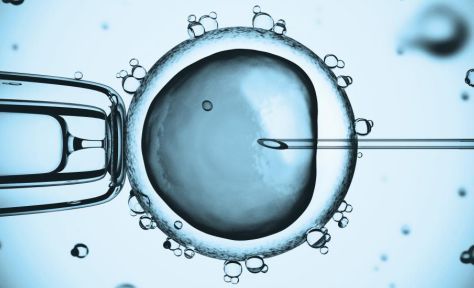 关于借卵代生包女孩代生包成功